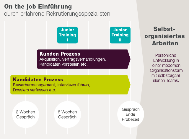 careerplus_einführungsprozess_de