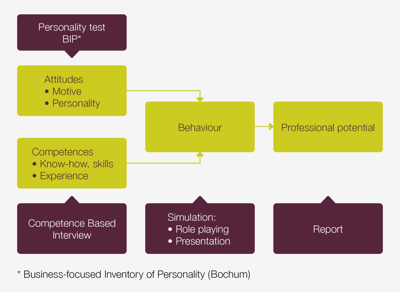 assessment_process