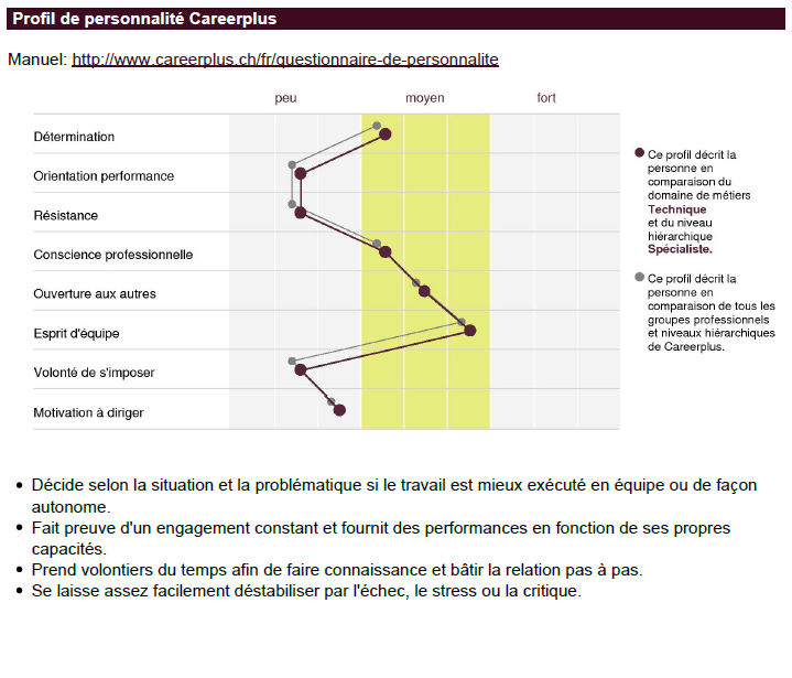 careerBLOG-Analyse-de-personnalite-Grafik