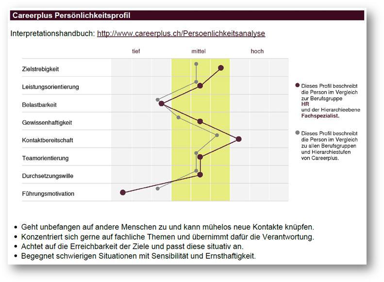careerBLOG-Persoenlichkeitsanalyse-Persönlichkeitsprofil